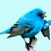 顔出しせずにtwitterフォロワーさん1000人達成！＆プロフィールの超具体的改良法